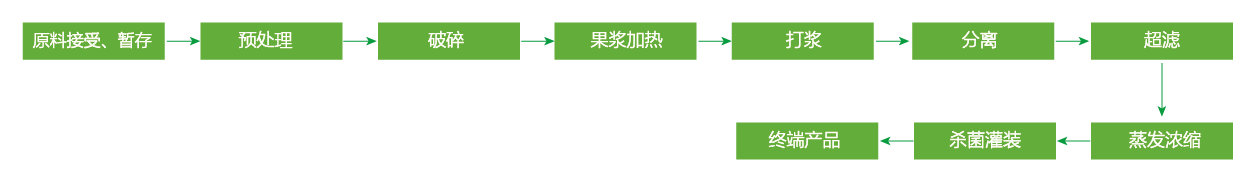藍(lán)莓、草莓、桑葚濃縮汁
